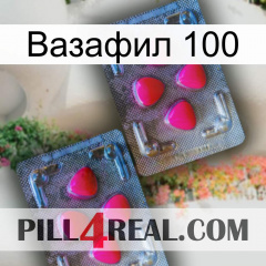 Вазафил 100 14